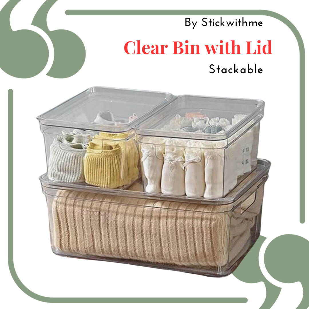 Clear Plastic Storage Bins with Lids (Small, Medium, Large)